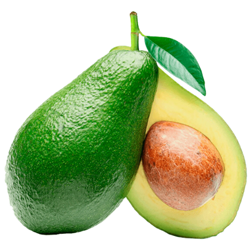 Palta