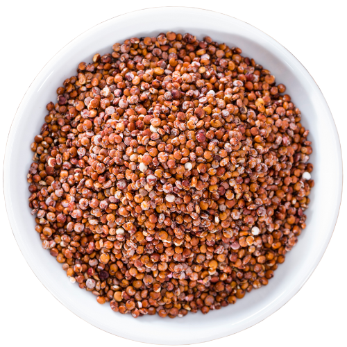 Red Quinoa